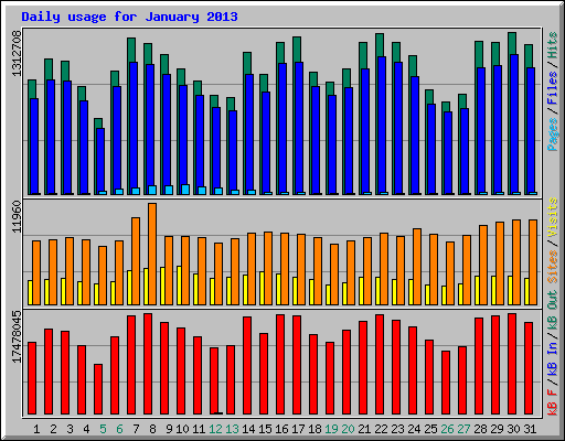 Daily usage for January 2013