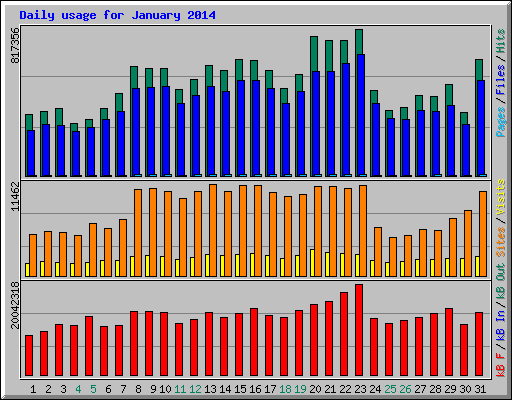 Daily usage for January 2014