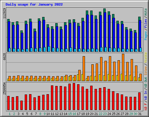 Daily usage for January 2022