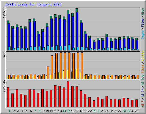 Daily usage for January 2023