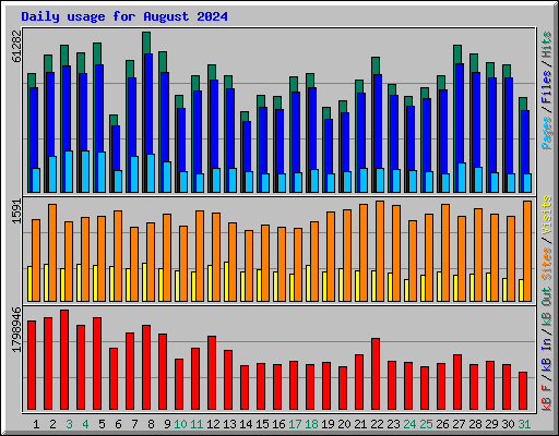 Daily usage for August 2024