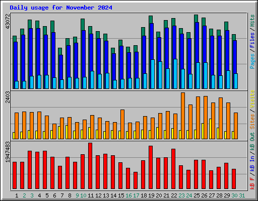 Daily usage for November 2024