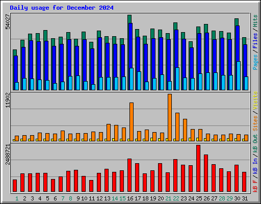 Daily usage for December 2024