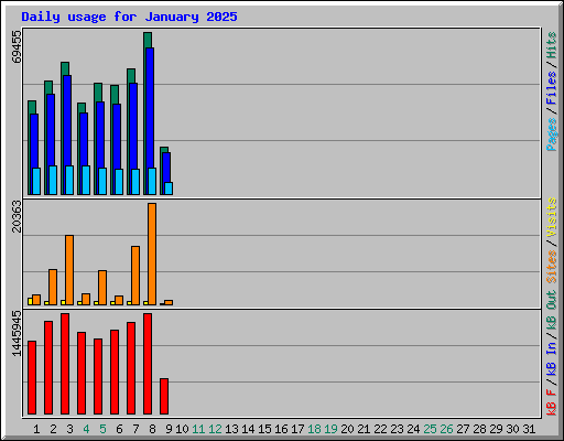 Daily usage for January 2025