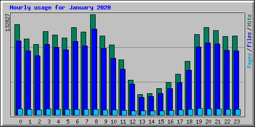 Hourly usage for January 2020