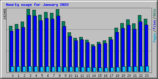 Hourly usage for January 2022