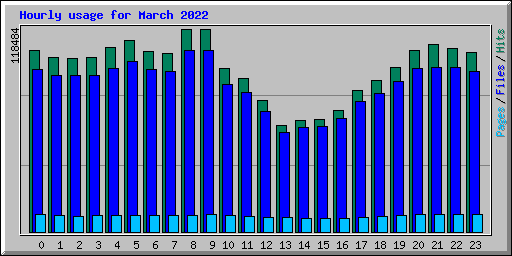 Hourly usage for March 2022