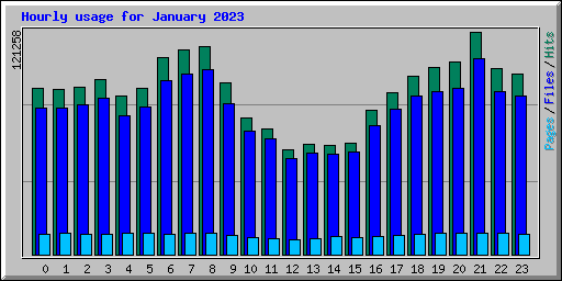 Hourly usage for January 2023