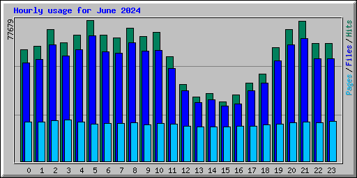 Hourly usage for June 2024