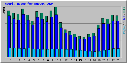 Hourly usage for August 2024