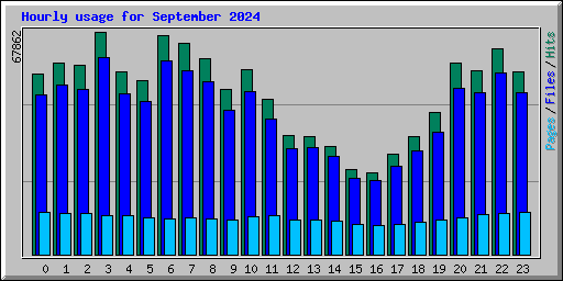 Hourly usage for September 2024