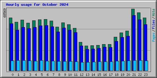 Hourly usage for October 2024