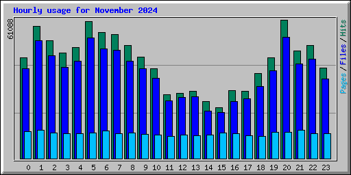 Hourly usage for November 2024