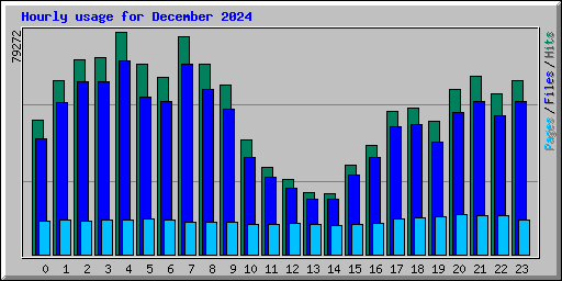 Hourly usage for December 2024