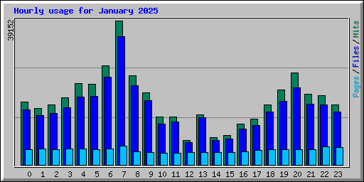 Hourly usage for January 2025